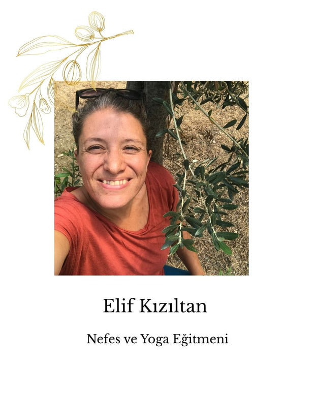 "Zeytin ile Hemdem"- 31 Ekim-2 Kasım